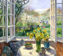 Daffodils in the Sun